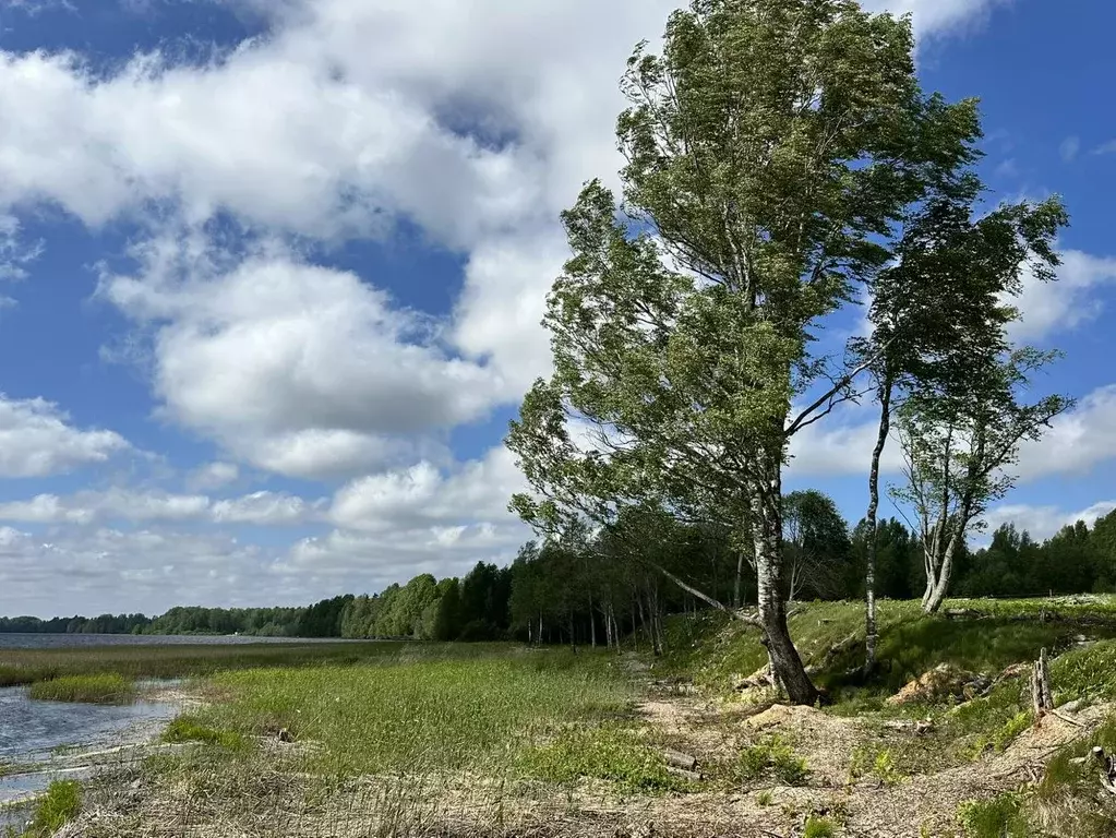 Участок в Ленинградская область, Выборгский район, Полянское с/пос, ... - Фото 2