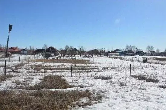 Участок в Самарская область, Ставропольский район, Тимофеевка с/пос, ... - Фото 2