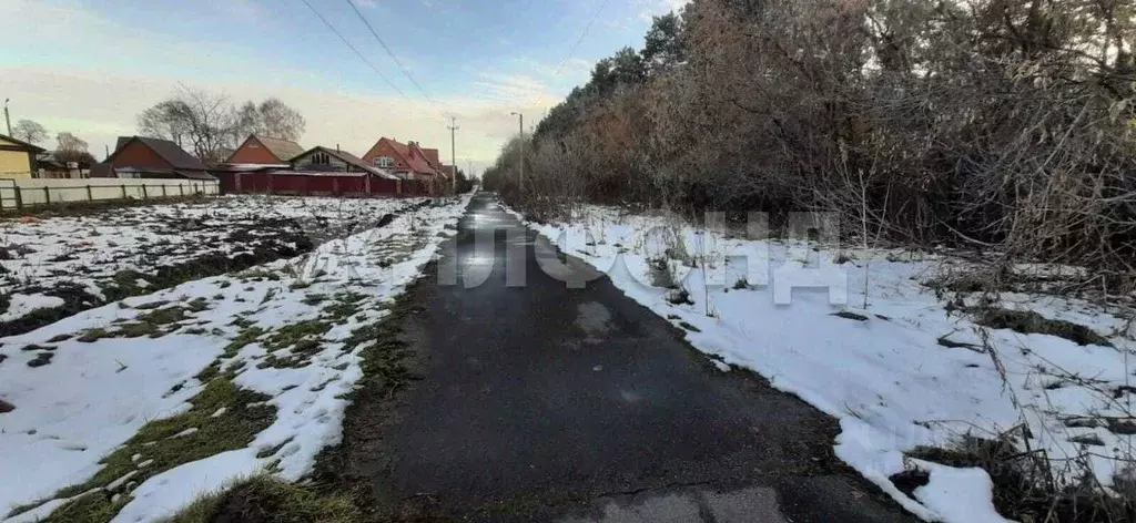 Участок в Новосибирская область, Черепановский район, пос. Пушной ул. ... - Фото 1