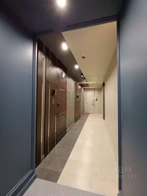 1-к кв. Калининградская область, Светлогорск Калининградский просп., ... - Фото 1