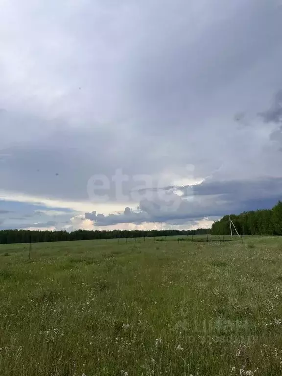 Участок в Курганская область, Кетовский муниципальный округ, КП Лесная ... - Фото 1