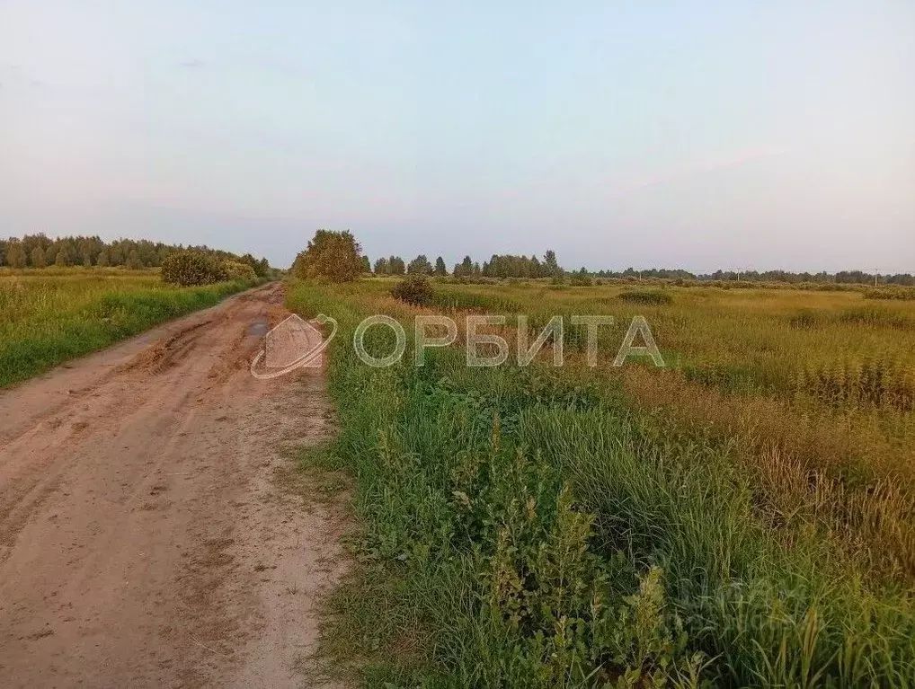 Участок в Тюменская область, Тюмень  (7.0 сот.) - Фото 1