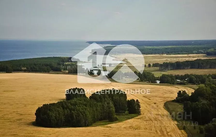 Участок в Новосибирская область, Искитимский район, Быстровский ... - Фото 2