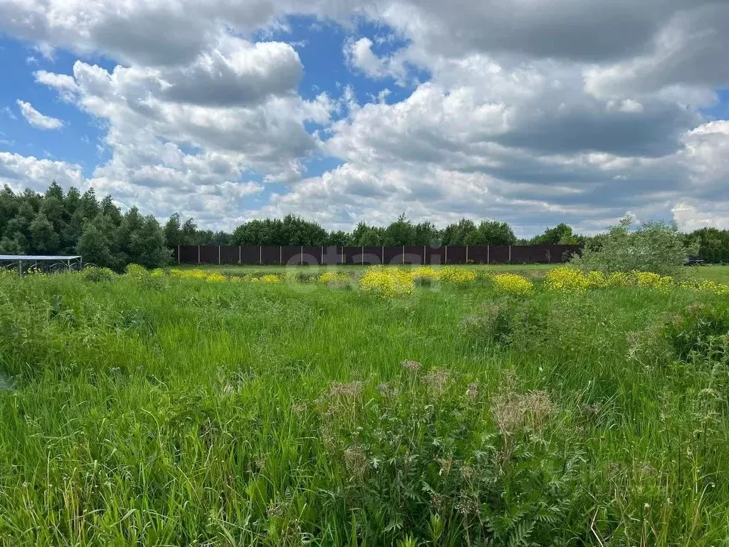 Участок в Московская область, Раменский городской округ, Белаго ДНП ... - Фото 0