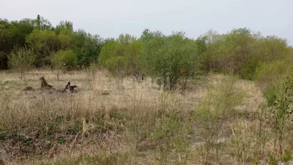 Участок в Мордовия, Саранск городской округ, Николаевка рп  (10.0 ... - Фото 1