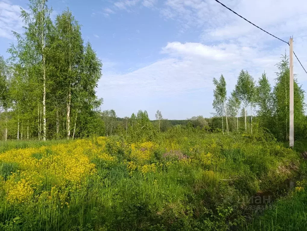 Участок в Ленинградская область, Кировский район, Мгинское городское ... - Фото 1