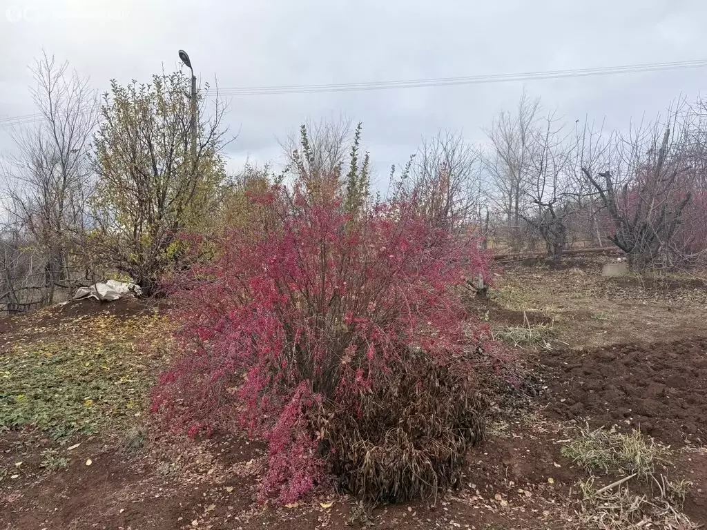 Участок в Оренбургский район, Степановский сельсовет, СНТ Прожектор, ... - Фото 1