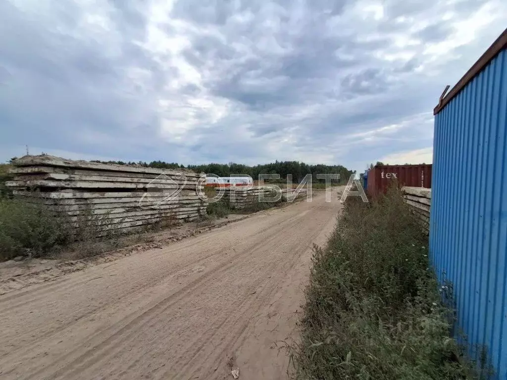 Участок в Тюменская область, Тюмень Велижанский тракт, 9-й км (15.0 ... - Фото 1