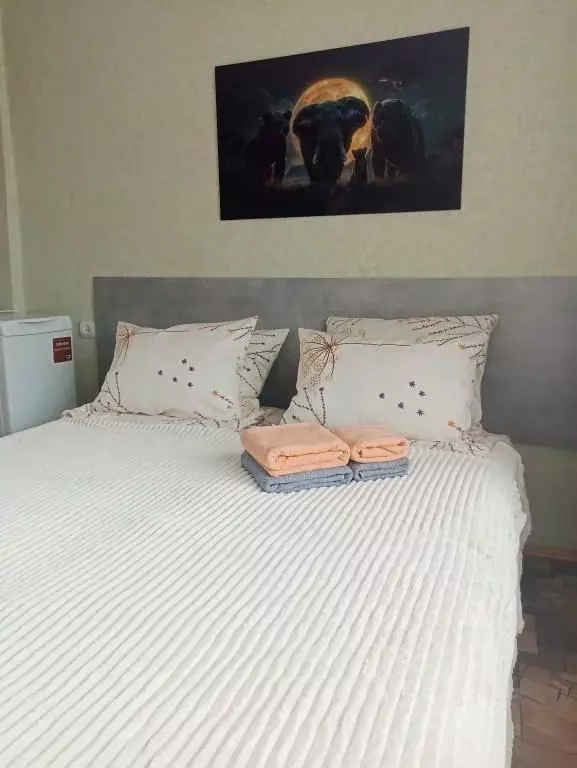 1-к кв. Московская область, Истра Советская ул., 13к1 (20.0 м) - Фото 1