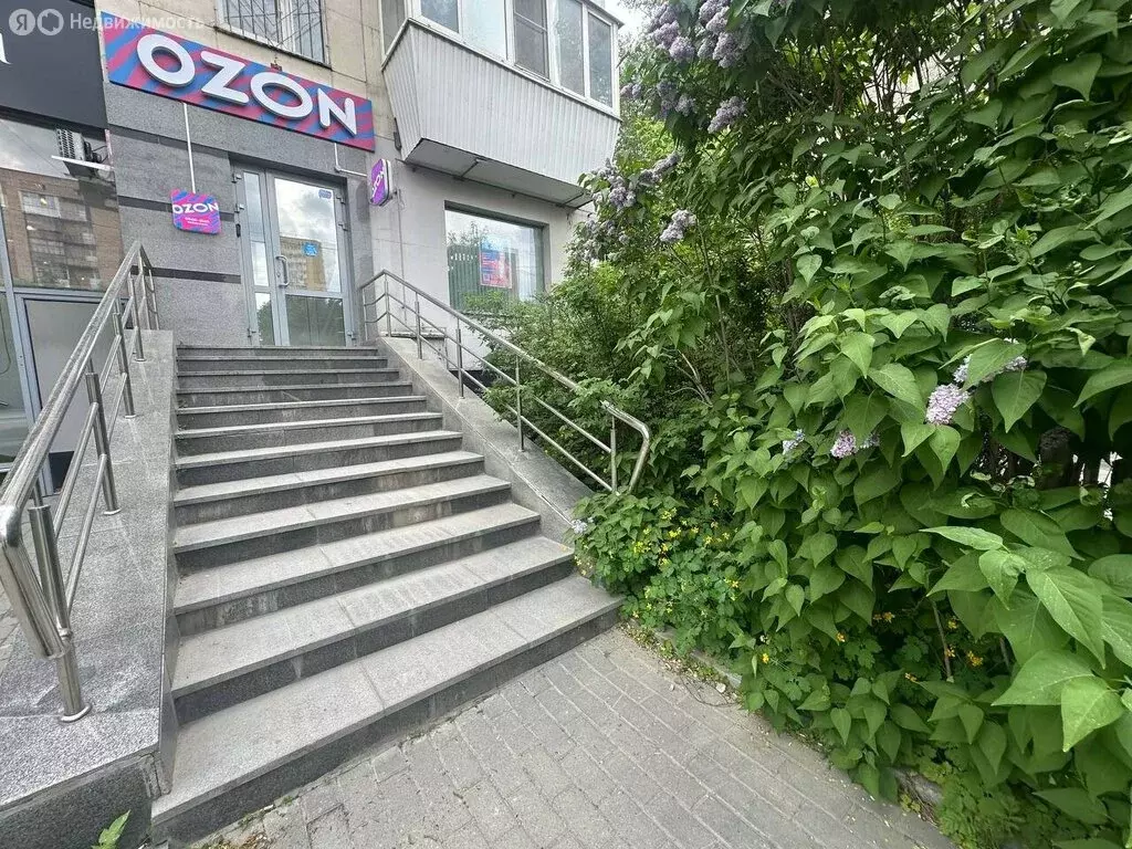 Офис (49.5 м) - Фото 1