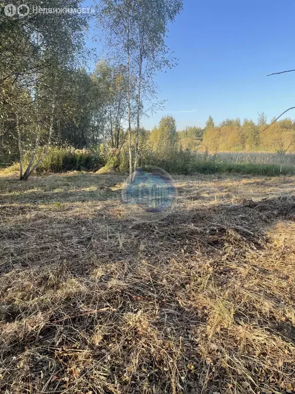 Участок в Московская область, городской округ Домодедово, деревня ... - Фото 1