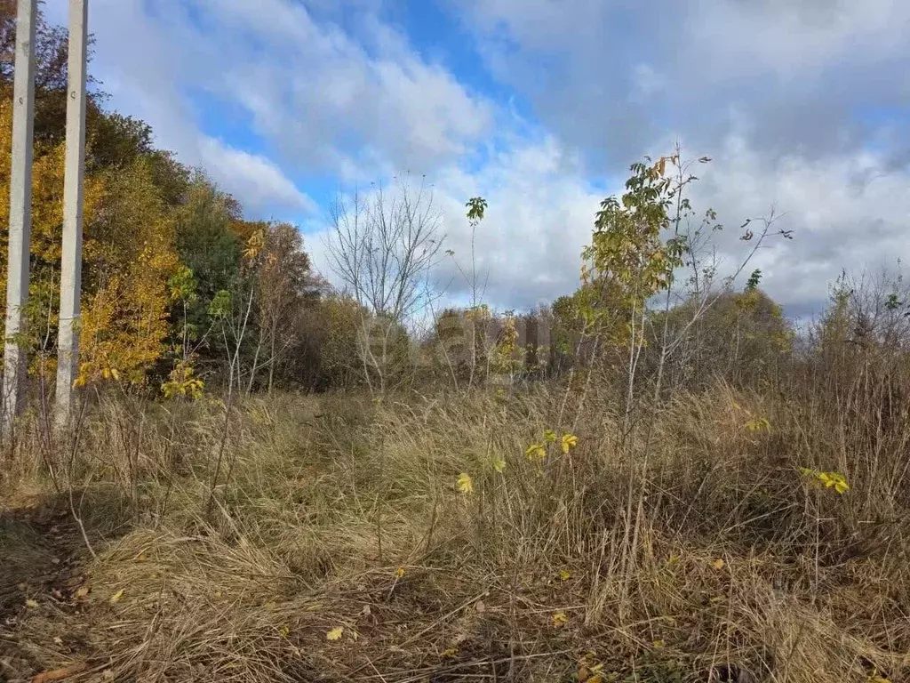 Участок в Курская область, Курский район, Рышковский сельсовет, ... - Фото 1