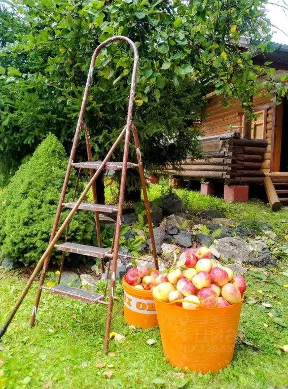 Дом в Московская область, Наро-Фоминский городской округ, Надежда-МГУ ... - Фото 1