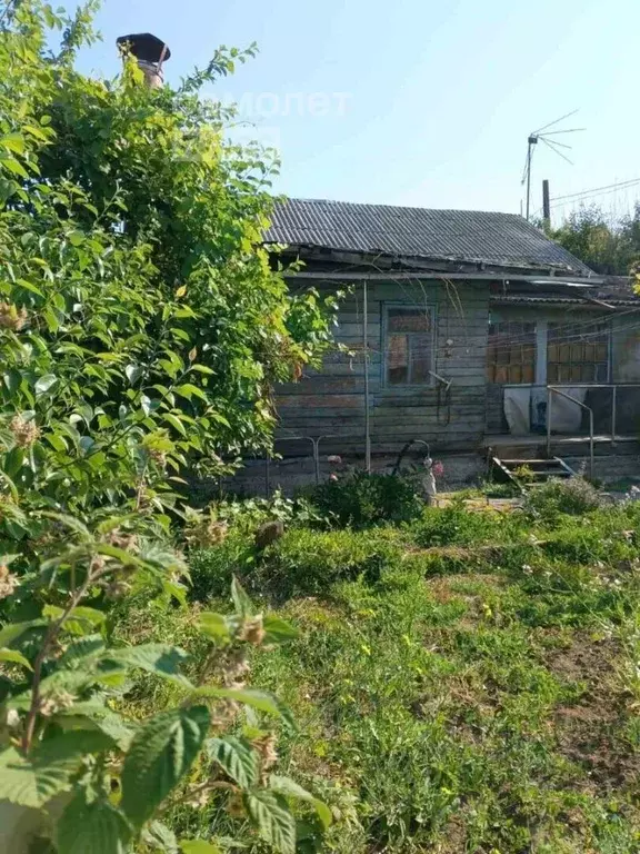 Дом в Волгоградская область, Волгоград пос. Забазный, ул. ... - Фото 1