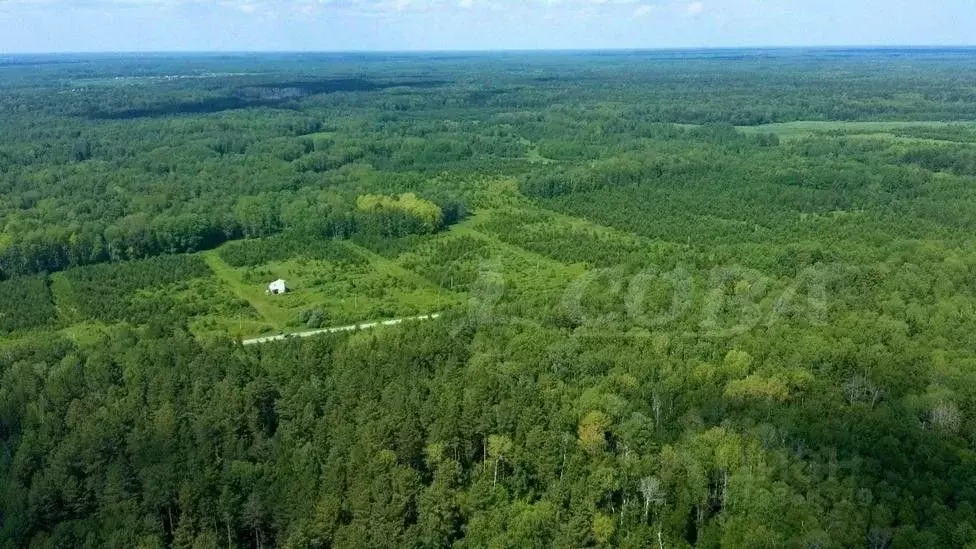 Участок в Тюменская область, Ялуторовский район, д. Красный Яр  (12.0 ... - Фото 0