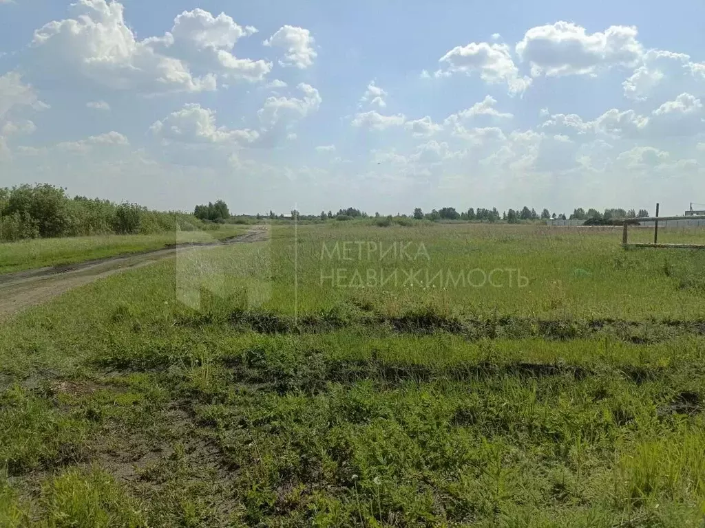 Участок в Тюменская область, Тюмень  (400.0 сот.) - Фото 1