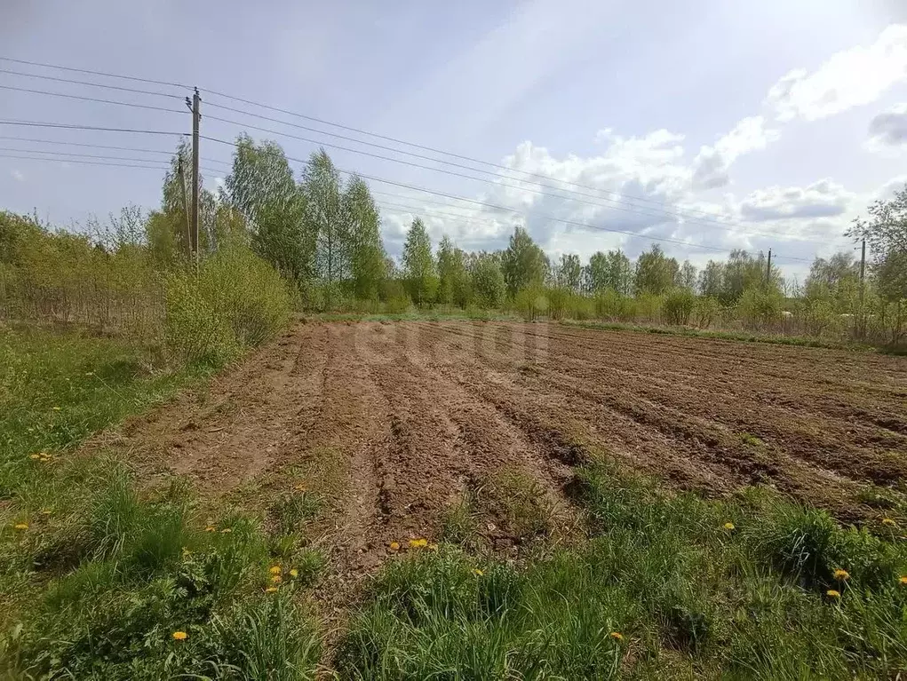 Участок в Костромская область, Костромской район, с. Сущево Поселковая ... - Фото 1