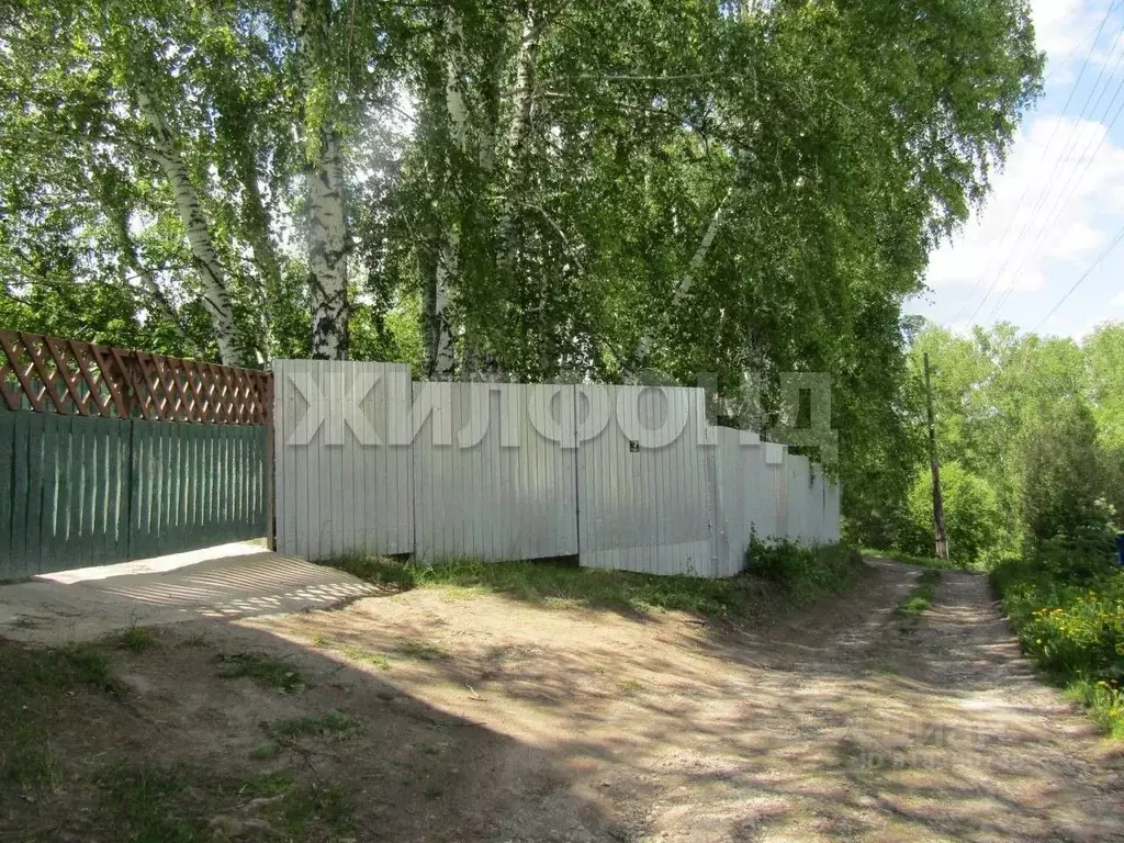 Участок в Новосибирская область, Новосибирский район, Станционный ... - Фото 0