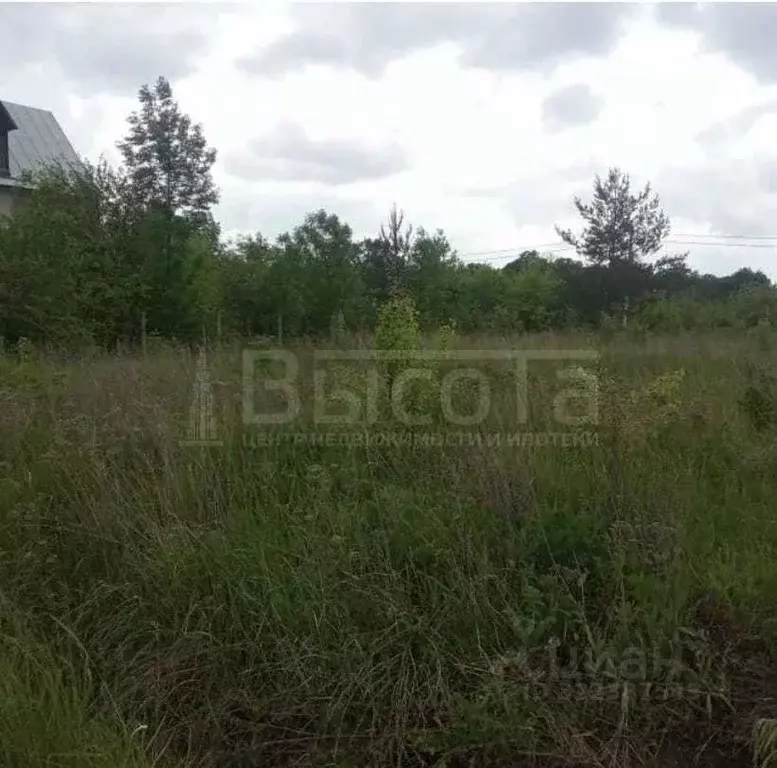 Участок в Воронежская область, Рамонский район, с. Новоживотинное ... - Фото 0