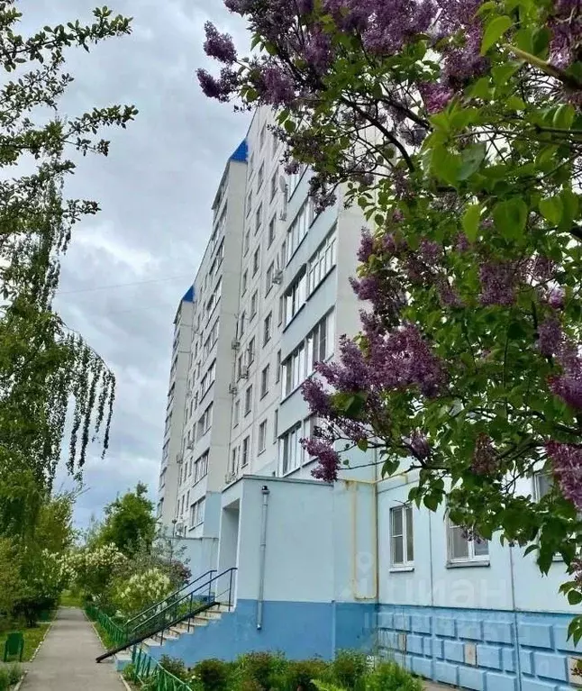 1-к кв. Московская область, Чехов Весенняя ул., 32 (40.3 м) - Фото 1