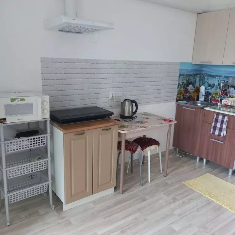 Студия Свердловская область, Екатеринбург ул. Раевского, 18А (30.0 м) - Фото 2