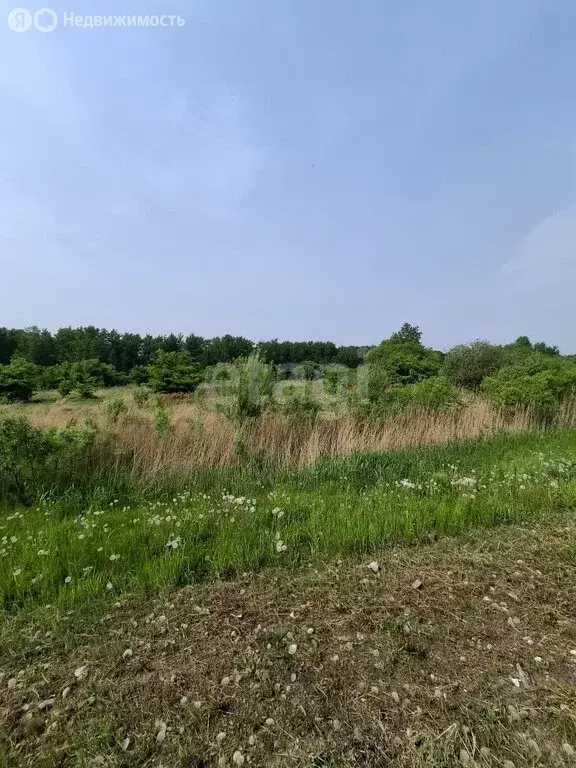 Участок в Хабаровский район, село Краснореченское (11.7 м) - Фото 0