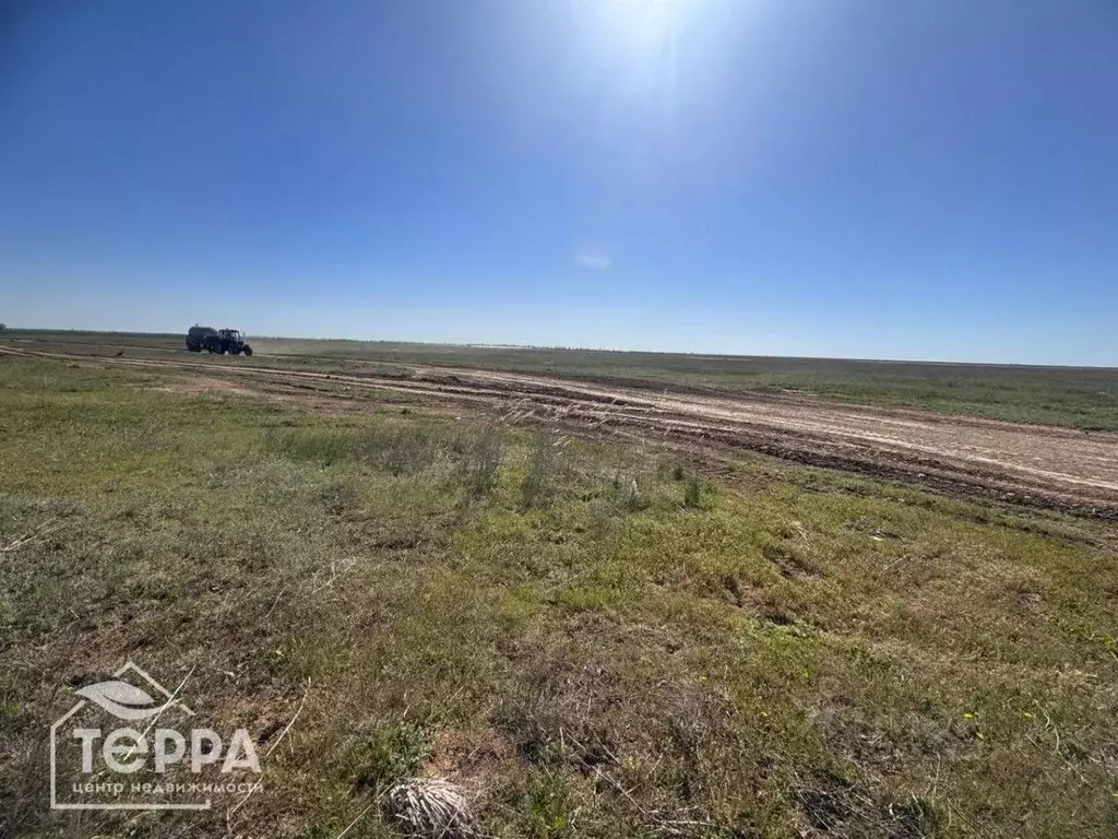 Участок в Крым, Раздольненский район, Чернышевское с/пос, с. Чернышево ... - Фото 2