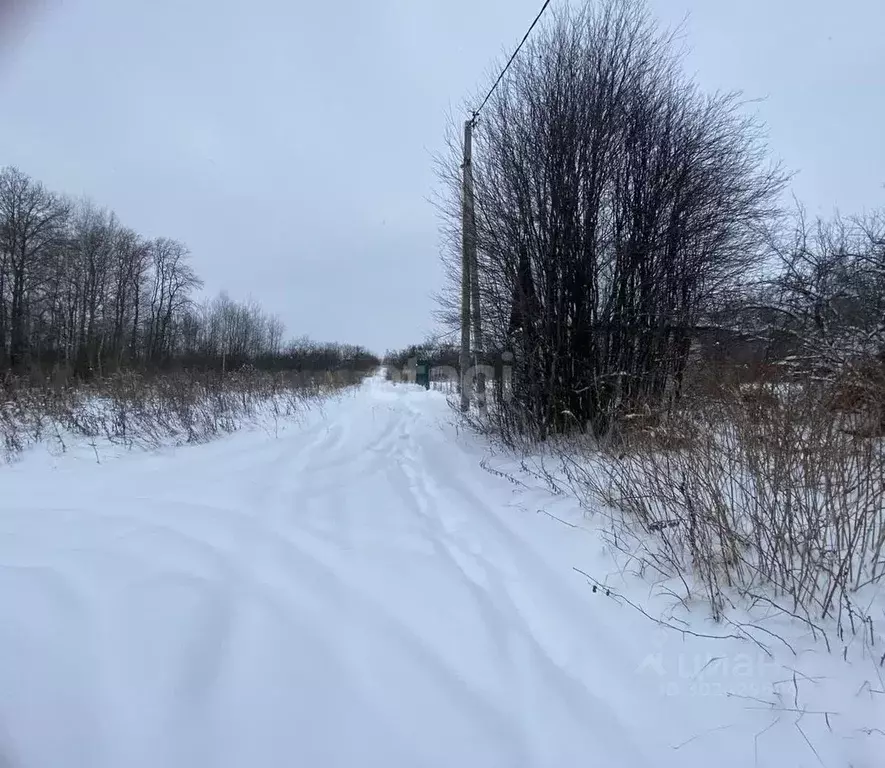 Участок в Владимирская область, Муромский район, с. Ковардицы  (5.0 ... - Фото 1