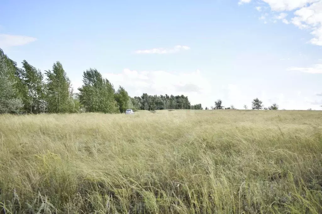 Участок в Оренбургская область, Илекский район, с. Кардаилово ... - Фото 1