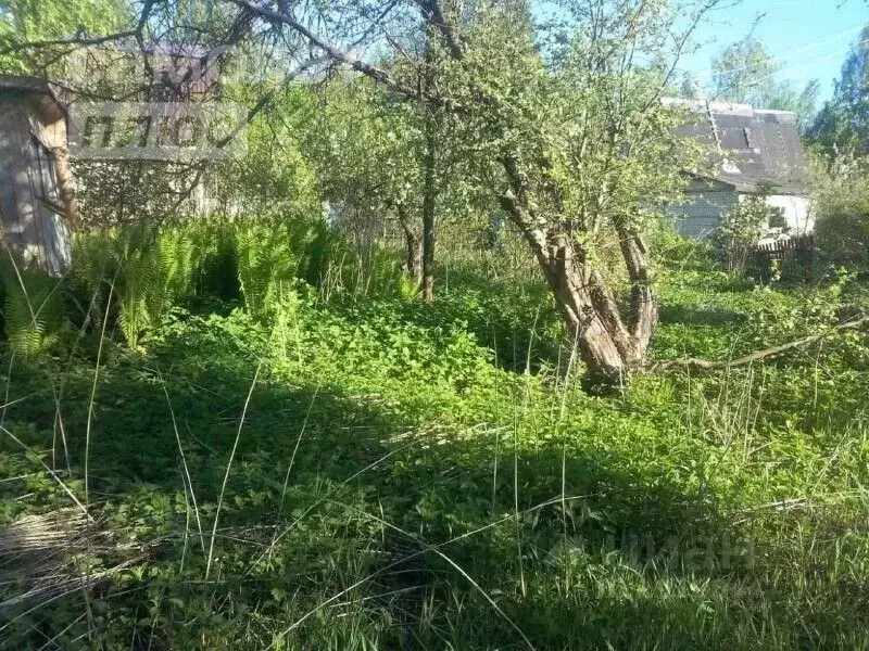 Участок в Нижегородская область, Балахнинский муниципальный округ, ... - Фото 0