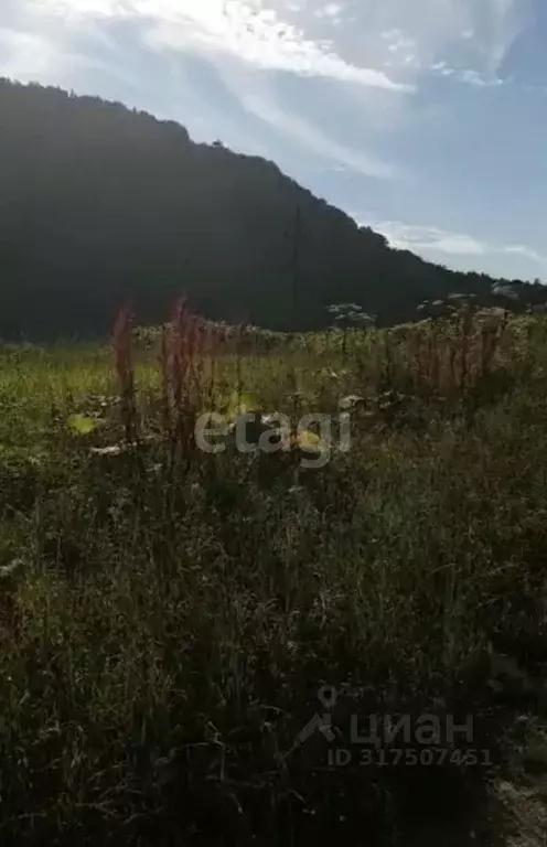 Участок в Сахалинская область, Невельск  (200.0 сот.) - Фото 1