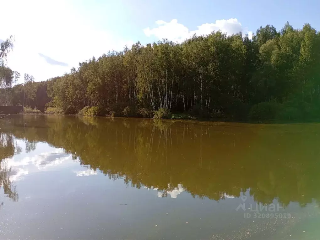 Участок в Нижегородская область, Нижний Новгород с. Елховка, ул. ... - Фото 1