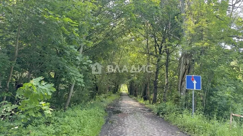 Участок в Калининградская область, Зеленоградский муниципальный округ, ... - Фото 0