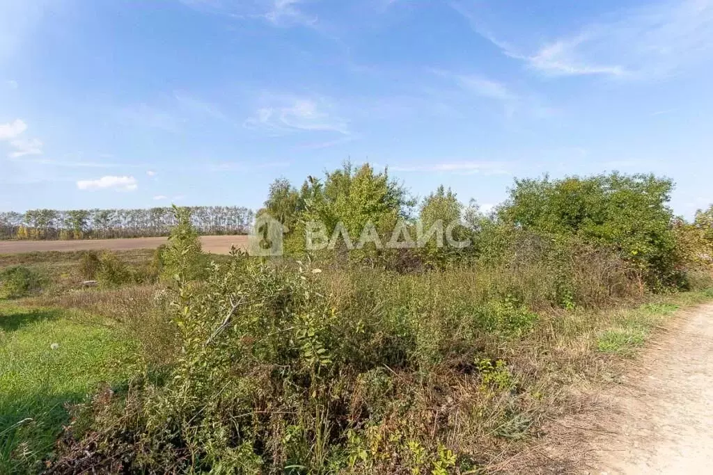 Участок в Владимирская область, Суздальский район, с. Новоалександрово ... - Фото 0