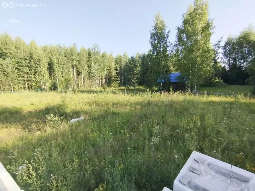 Участок в Пасеговское сельское поселение, деревня Токари (15 м) - Фото 1