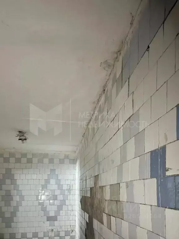 Помещение свободного назначения в Тюменская область, Ялуторовск ул. ... - Фото 1