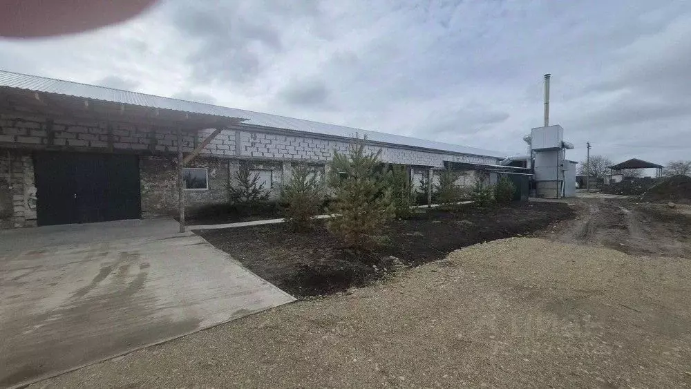 Производственное помещение в Краснодарский край, Динской район, ... - Фото 1