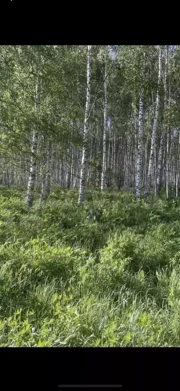 Участок 10 га (СНТ, ДНП) - Фото 0