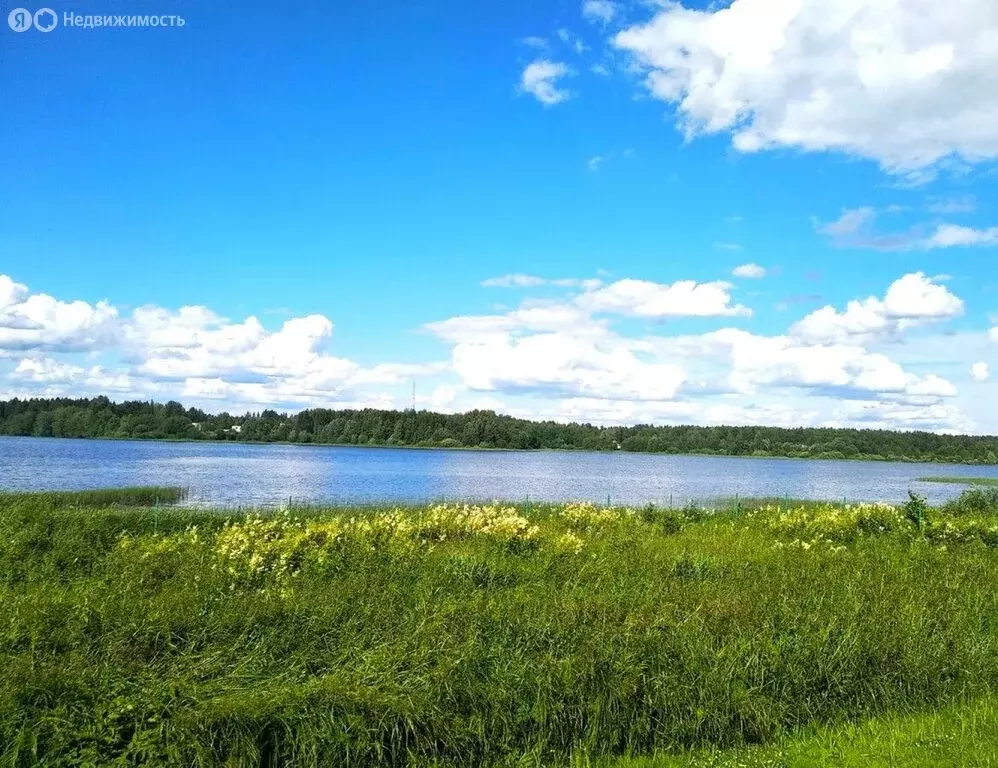 Дом в посёлок городского типа Пено, Школьный переулок, 8 (33.3 м) - Фото 0