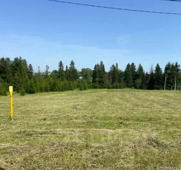 Участок в Удмуртия, Завьяловский район, д. Каменное, Зеленодолье кп ... - Фото 1