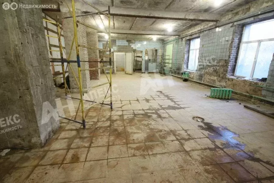 Производственное помещение (250 м) - Фото 2