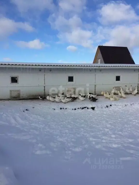 Помещение свободного назначения в Новосибирская область, Новосибирский ... - Фото 0