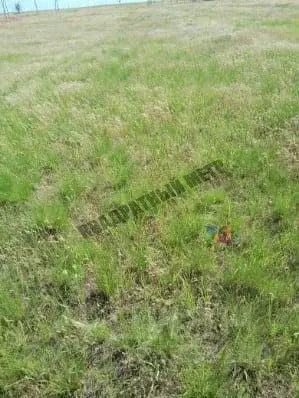 Участок в Калмыкия, Целинный район, с. Троицкое ул. Ойратская (6.0 ... - Фото 1