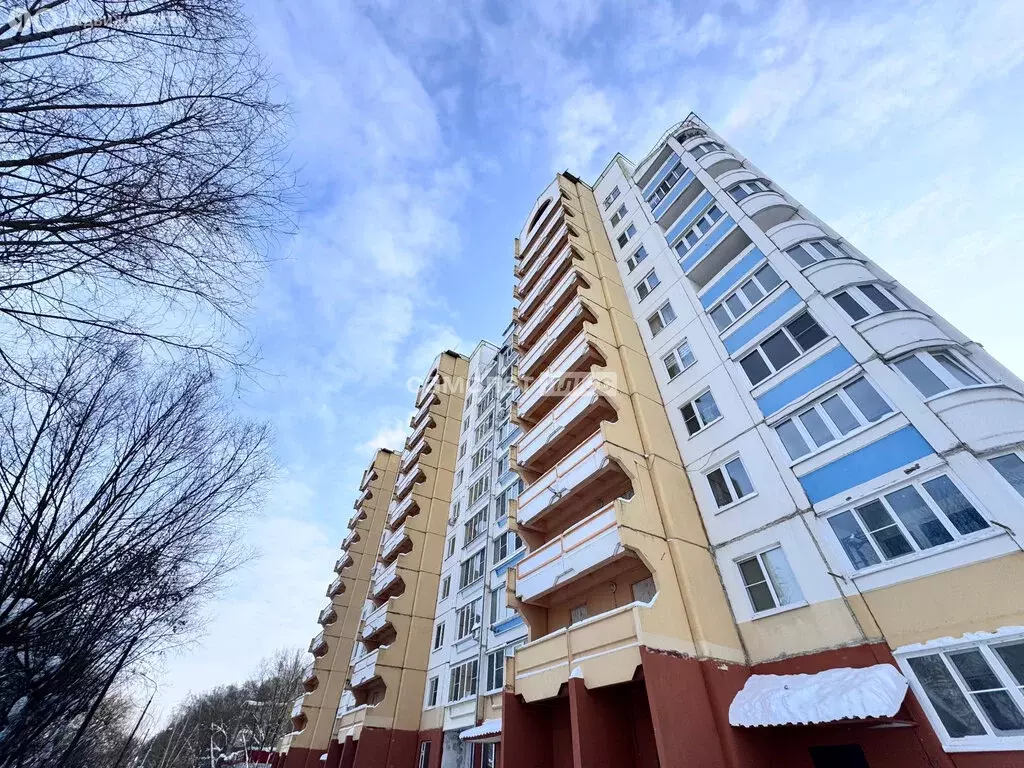 2-комнатная квартира: Ногинск, 1-я улица Ревсобраний, 6А (58.6 м) - Фото 2