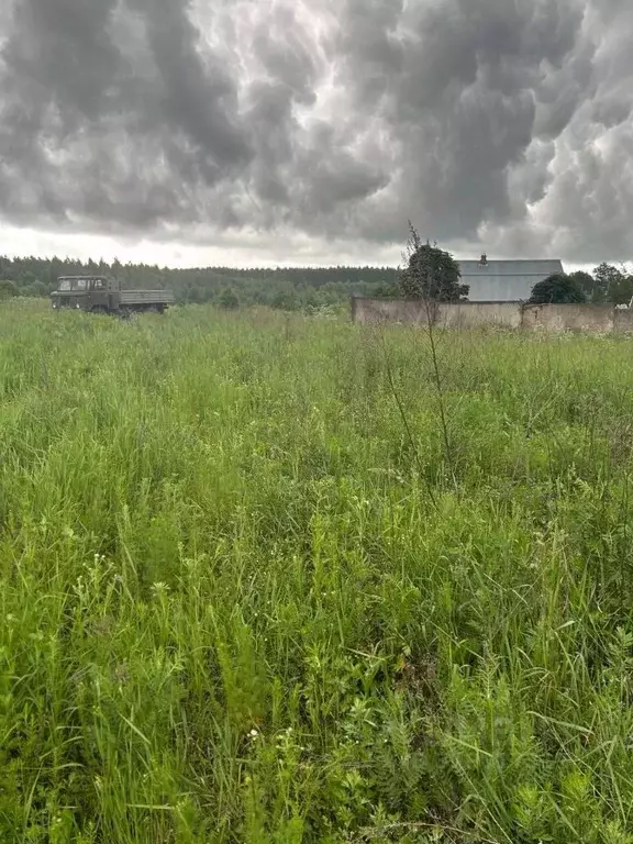 Участок в Московская область, Щелково городской округ, с. Рязанцы 25 ... - Фото 0