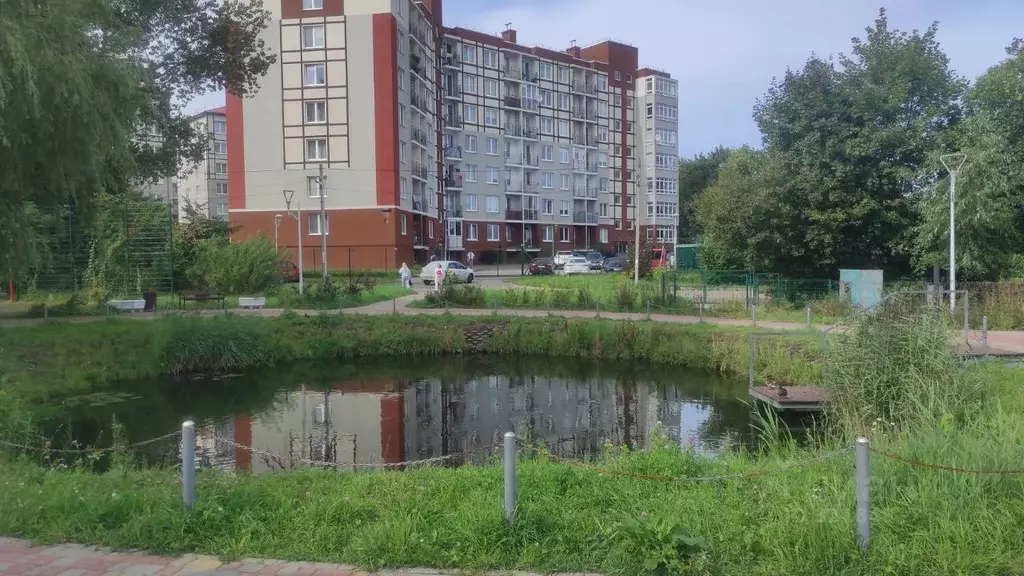 Студия Калининградская область, Светлогорск Тихая ул., 12 (22.0 м) - Фото 0