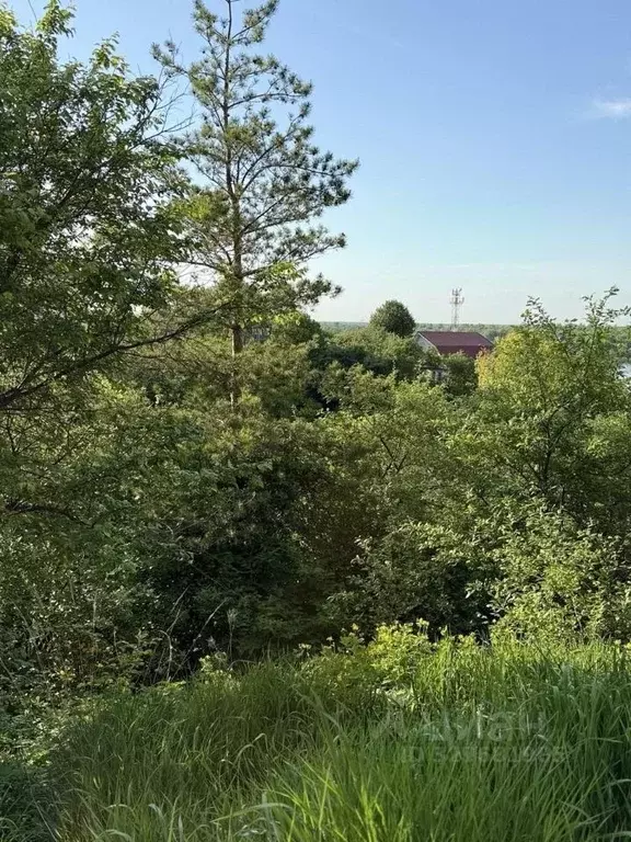 Участок в Нижегородская область, с. Безводное  (15.0 сот.) - Фото 2