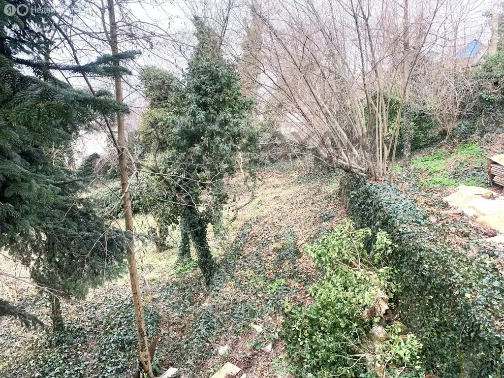 Участок в Майкоп, ДНТ Дружба, Речная улица (9.17 м) - Фото 2