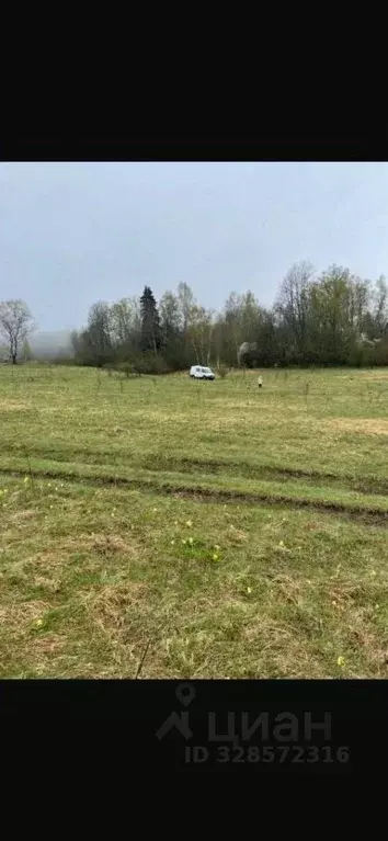 Участок в Ленинградская область, Тосненский район, Трубникоборское ... - Фото 2