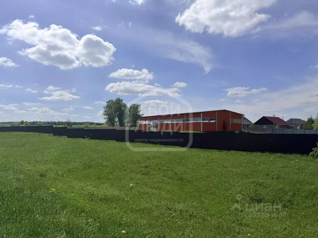 Помещение свободного назначения в Рязанская область, Пронский ... - Фото 1